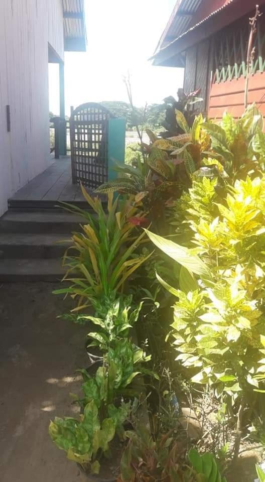 Sompong Sunset View Guest House Don Det Phòng bức ảnh